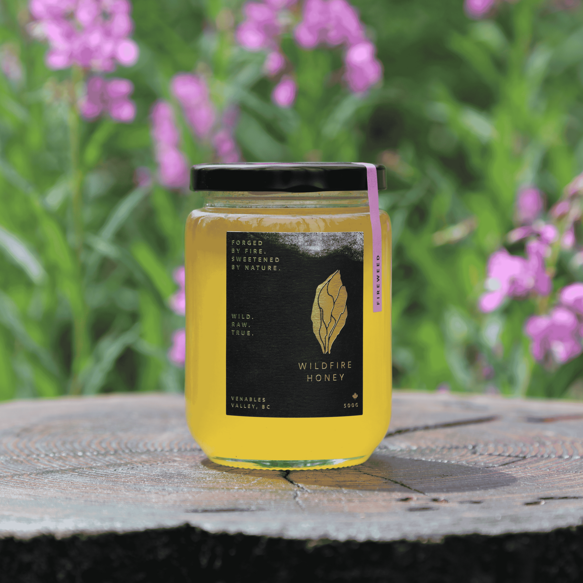 Spark - 1 x 500G Jar
