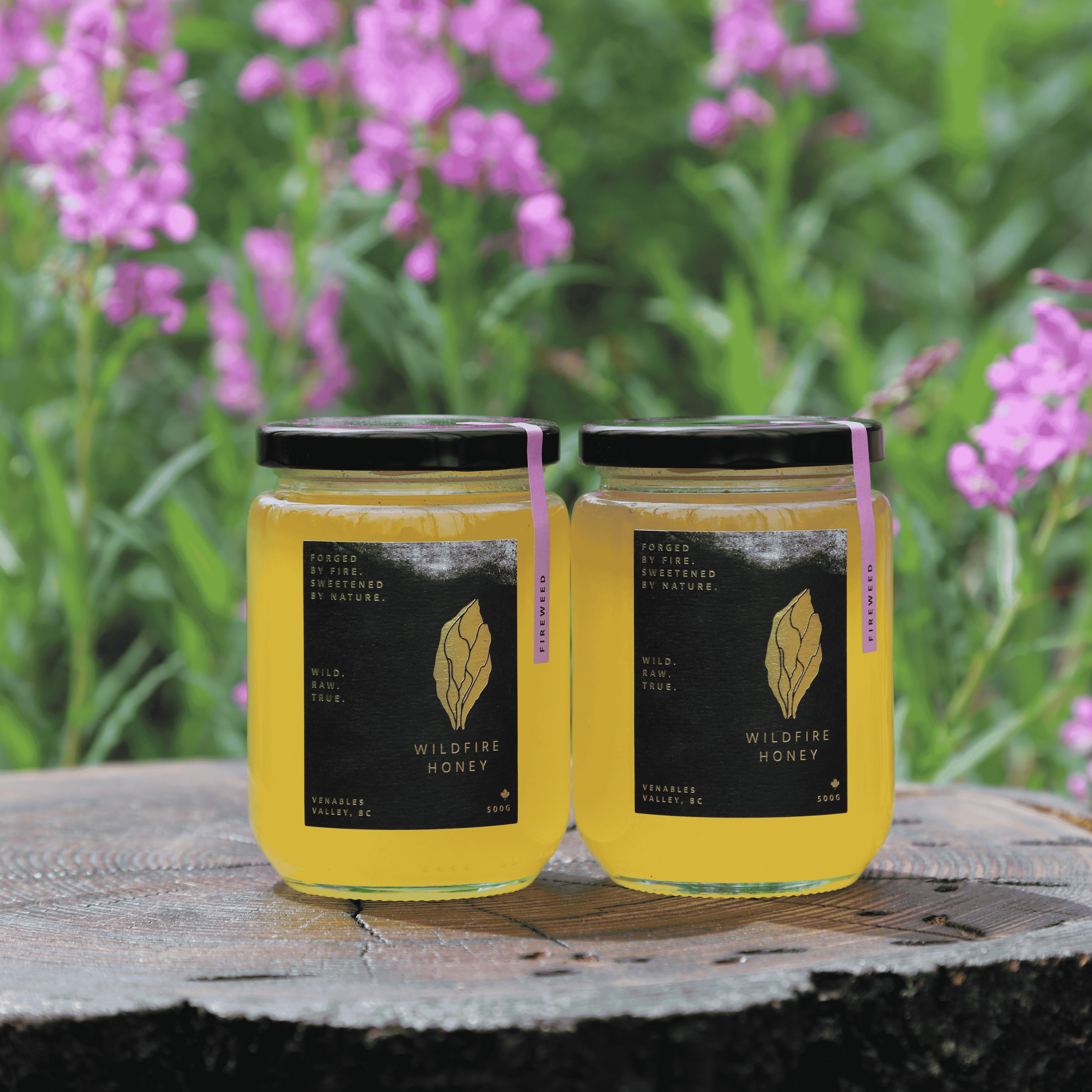Blaze - 2 x 500G Jars